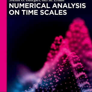 Numerical Analysis on Time Scales
