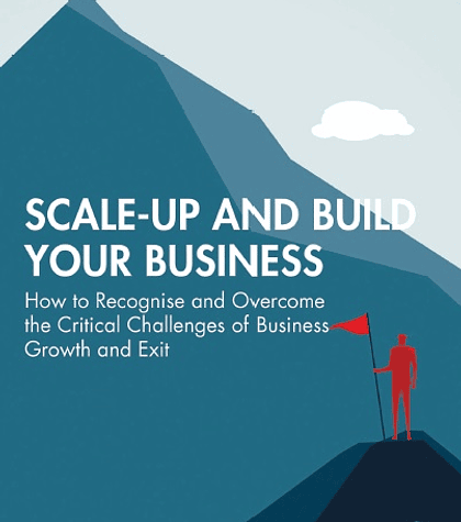 Scale-up and Build Your Business: How to Recognise and Overcome the Critical Challenges of Business Growth and Exit