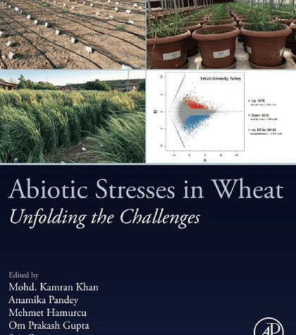 Abiotic Stresses in Wheat: Unfolding the Challenges