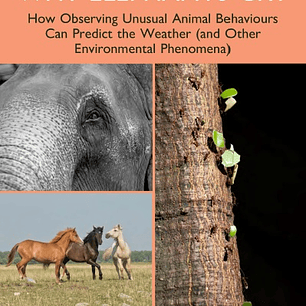 Why Elephants Cry: How Observing Unusual Animal Behaviours Can Predict the Weather