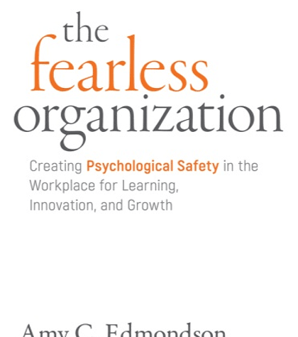 The Fearless Organization: Creating Psychological Safety in the Workplace for Learning, Innovation, and Growth