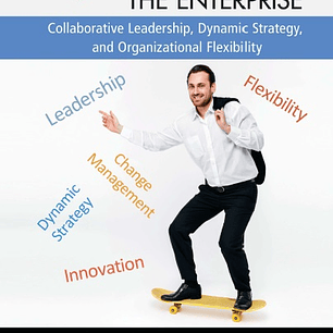 Agilizing the Enterprise