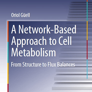 A Network-Based Approach to Cell Metabolism: From Structure to Flux Balances