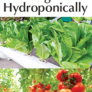 Complete Guide for Growing Plants Hydroponically