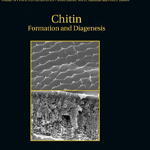 Chitin: Formation and Diagenesis