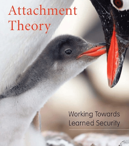  Attachment Theory: Working Towards Learned Security 