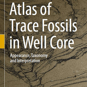 Atlas of Trace Fossils in Well Core: Appearance, Taxonomy and Interpretation