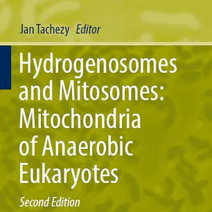 Hydrogenosomes and Mitosomes: Mitochondria of Anaerobic Eukaryotes