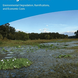 Nitrogen Overload: Environmental Degradation, Ramifications, and Economic Costs