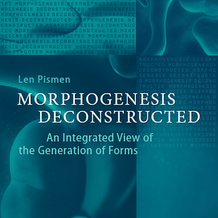 Morphogenesis Deconstructed: An Integrated View of the Generation of Forms