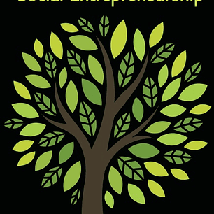 Introduction to Social Entrepreneurship 1