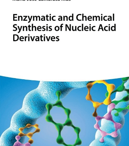  Enzymatic and Chemical Synthesis of Nucleic Acid Derivatives