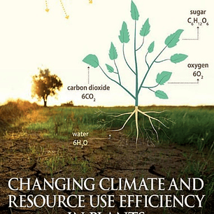  Changing Climate and Resource use Efficiency in Plants 