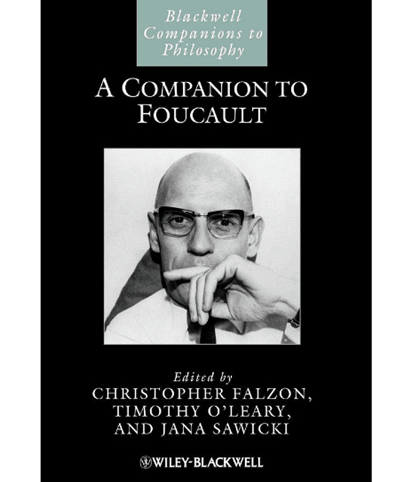  A Companion to Foucault