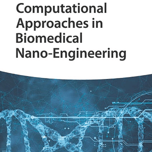 Computational Approaches in Biomedical Nano‐Engineering