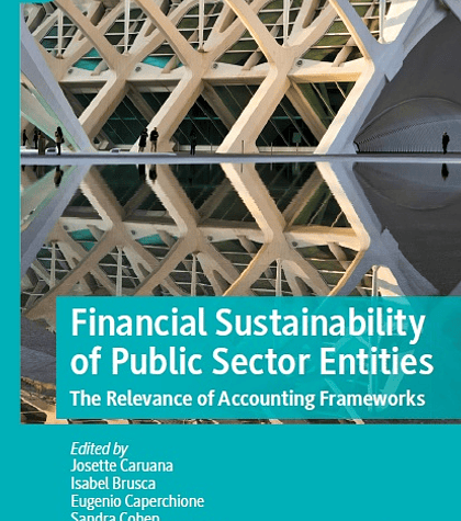 Financial Sustainability of Public Sector Entities: The Relevance of Accounting Frameworks