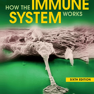 How the Immune System Works