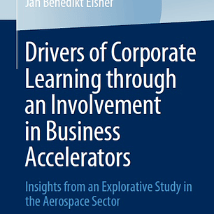 Drivers of Corporate Learning through an Involvement in Business Accelerators: Insights from an Explorative Study in the Aerospace Sector