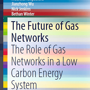 The Future of Gas Networks: The Role of Gas Networks in a Low Carbon Energy System