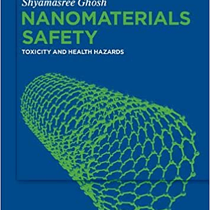 Nanomaterials Safety: Toxicity and Health Hazards