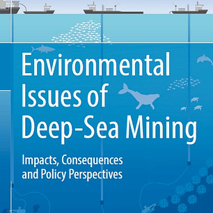 Environmental Issues of Deep-Sea Mining: Impacts, Consequences and Policy Perspectives