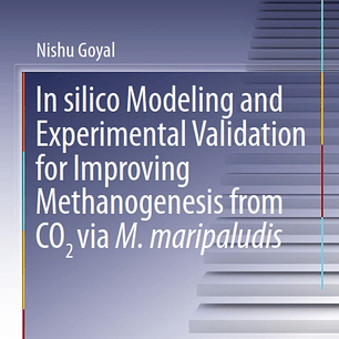 In silico Modeling and Experimental Validation for Improving Methanogenesis from CO2 via M. maripaludis