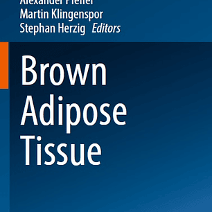 Brown Adipose Tissue