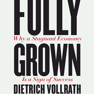 Fully Grown: Why a Stagnant Economy Is a Sign of Success