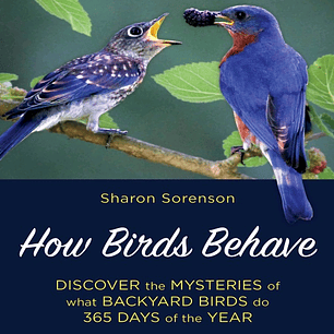 How Birds Behave: Discover the Mysteries of What Backyard Birds Do 365 Days of the Year