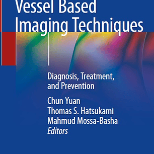 Vessel Based Imaging Techniques: Diagnosis, Treatment, and Prevention