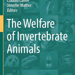 The Welfare of Invertebrate Animals