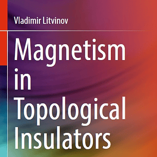 Magnetism in Topological Insulators 