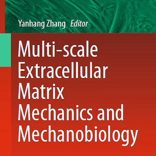 Multi-scale Extracellular Matrix Mechanics and Mechanobiology