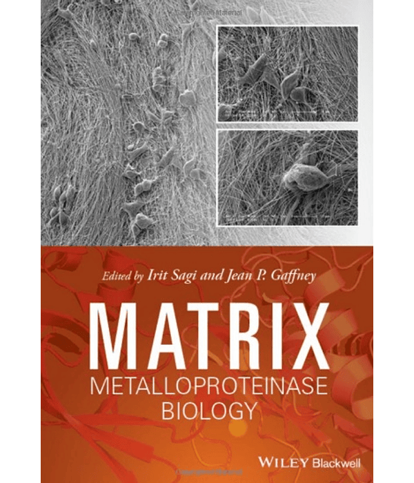 Matrix Metalloproteinase Biology