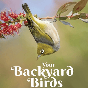  Your Backyard Birds: Understanding the Behaviours, Habits and Needs of Our Brilliant Birds 