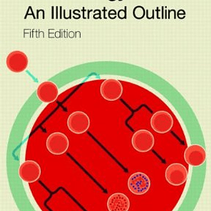 Immunology: An Illustrated Outline