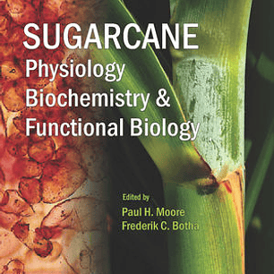 Sugarcane: Physiology, Biochemistry and Functional Biology