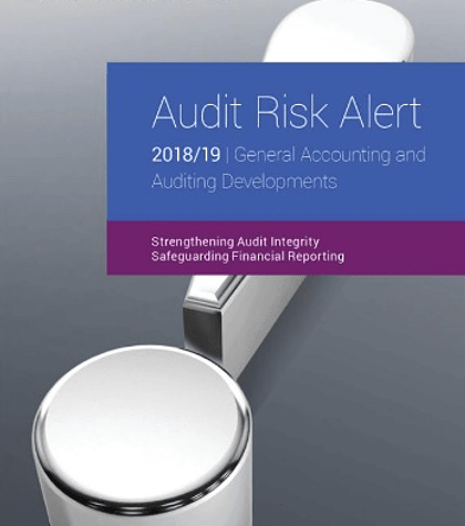 Audit Risk Alert: General Accounting and Auditing Developments