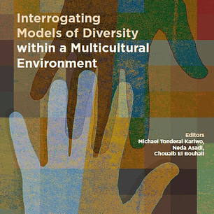 Interrogating Models of Diversity within a Multicultural Environment