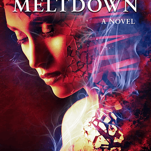 The Reality Meltdown