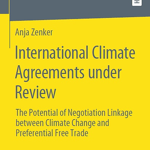 International Climate Agreements under Review