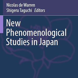 New Phenomenological Studies in Japan