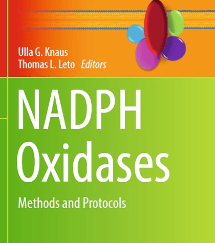 NADPH Oxidases: Methods and Protocols