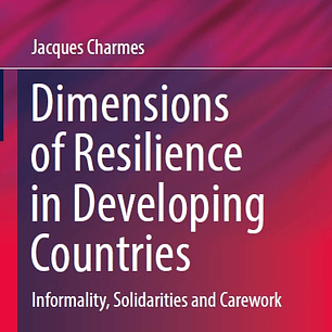 Dimensions of Resilience in Developing Countries: Informality, Solidarities and Carework