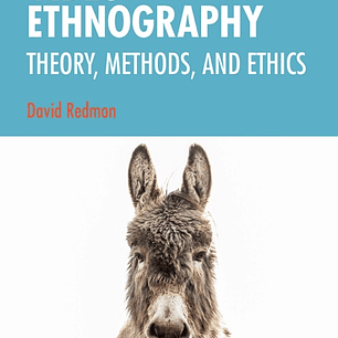 Video Ethnography
