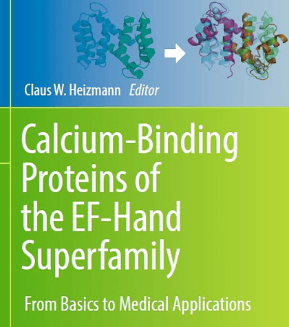 Calcium-Binding Proteins of the EF-Hand Superfamily: From Basics to Medical Applications 