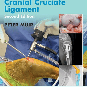 Advances in the Canine Cranial Cruciate Ligament