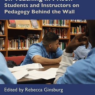Critical Perspectives on Teaching in Prison