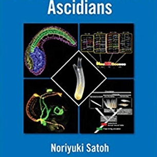 Developmental Genomics of Ascidians