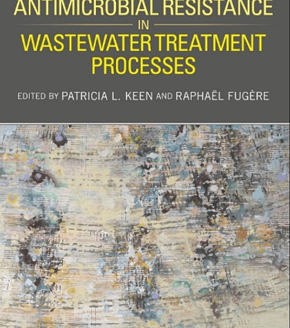 Antimicrobial Resistance in Wastewater Treatment Processes